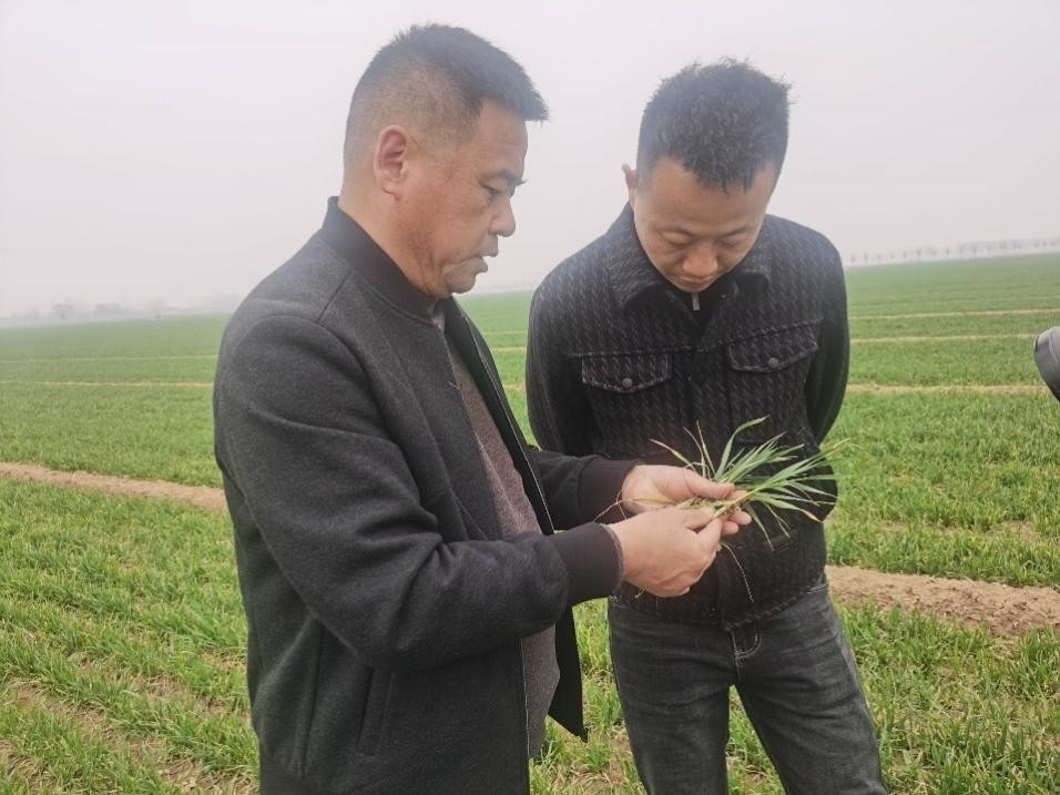 在山東濟(jì)寧汶上縣苑莊鎮(zhèn)，農(nóng)技員黃海龍對種糧大戶王振現(xiàn)場進(jìn)行春耕指導(dǎo)。人民網(wǎng)記者 車柯蒙攝