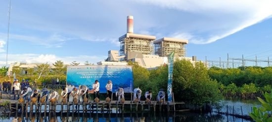5月18日，中印尼嘉賓在爪哇7號(hào)燃煤電站舉行紅樹林補(bǔ)植儀式。記者 曹凱 攝