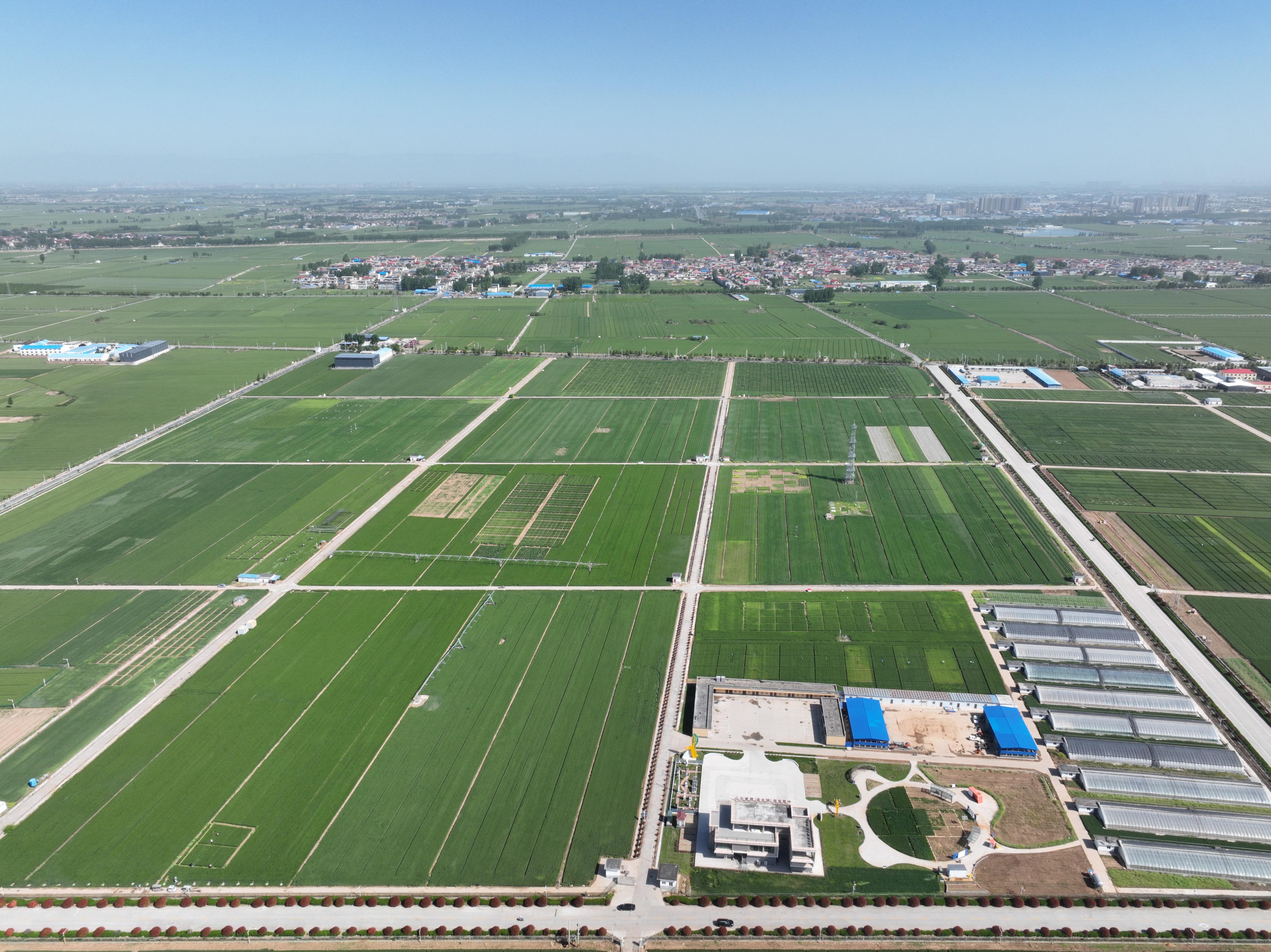 俯瞰水利部灌溉試驗(yàn)總站試驗(yàn)研究基地。受訪者供圖