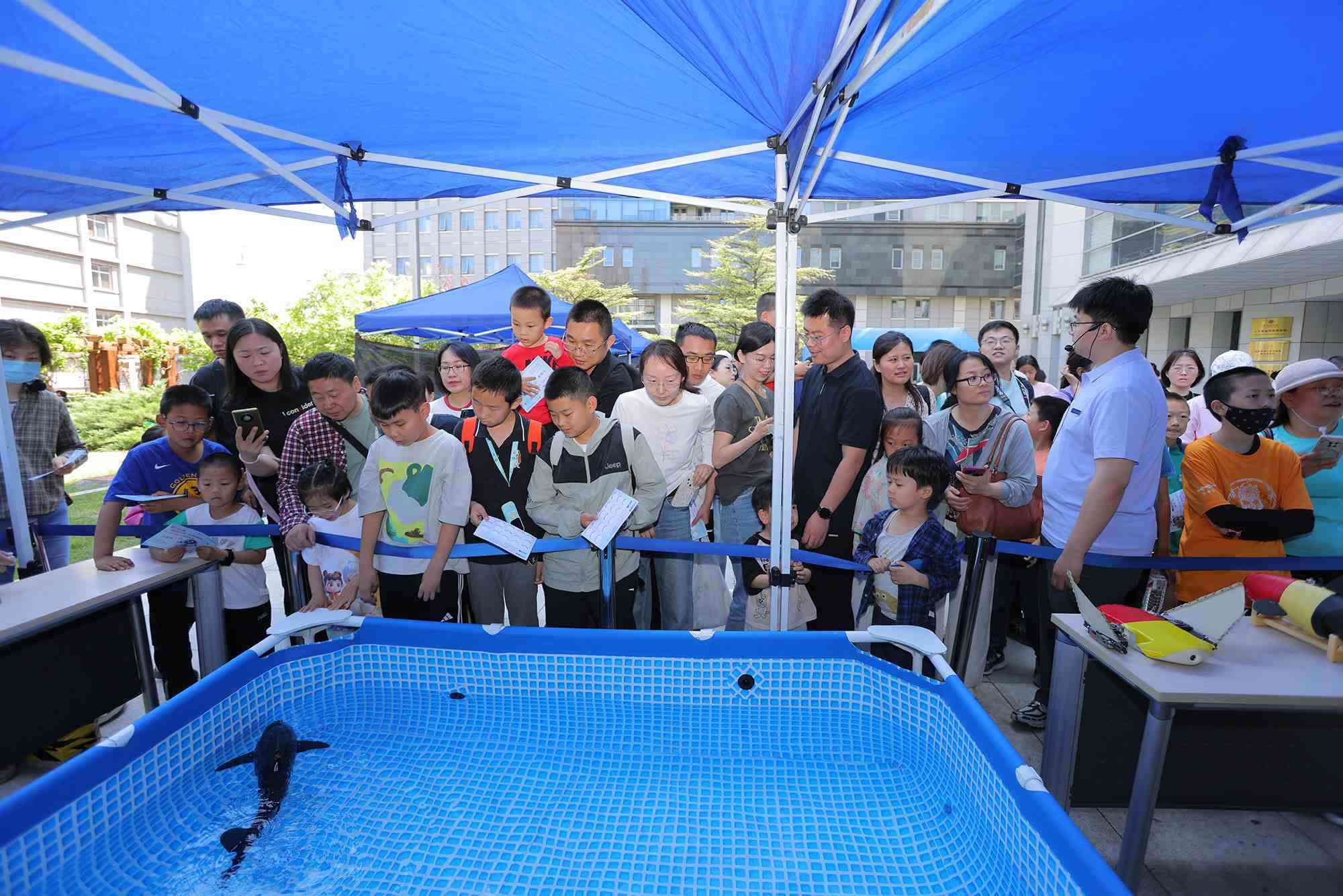 水下仿生機(jī)器魚在活動(dòng)現(xiàn)場(chǎng)大受歡迎。中國(guó)科學(xué)院自動(dòng)化研究所供圖